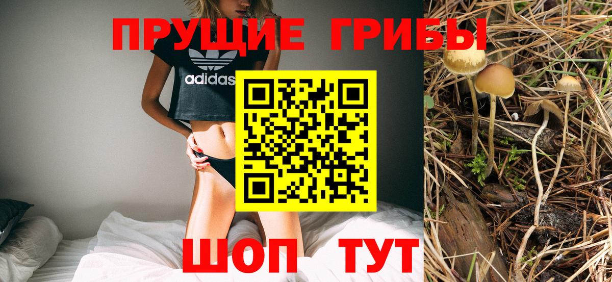 Псилоцибиновые грибы MAGIC MUSHROOMS  Вход с VPN  Воркута 