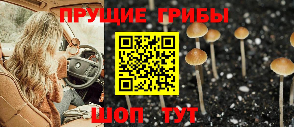 Псилоцибиновые грибы MAGIC MUSHROOMS Воркута
